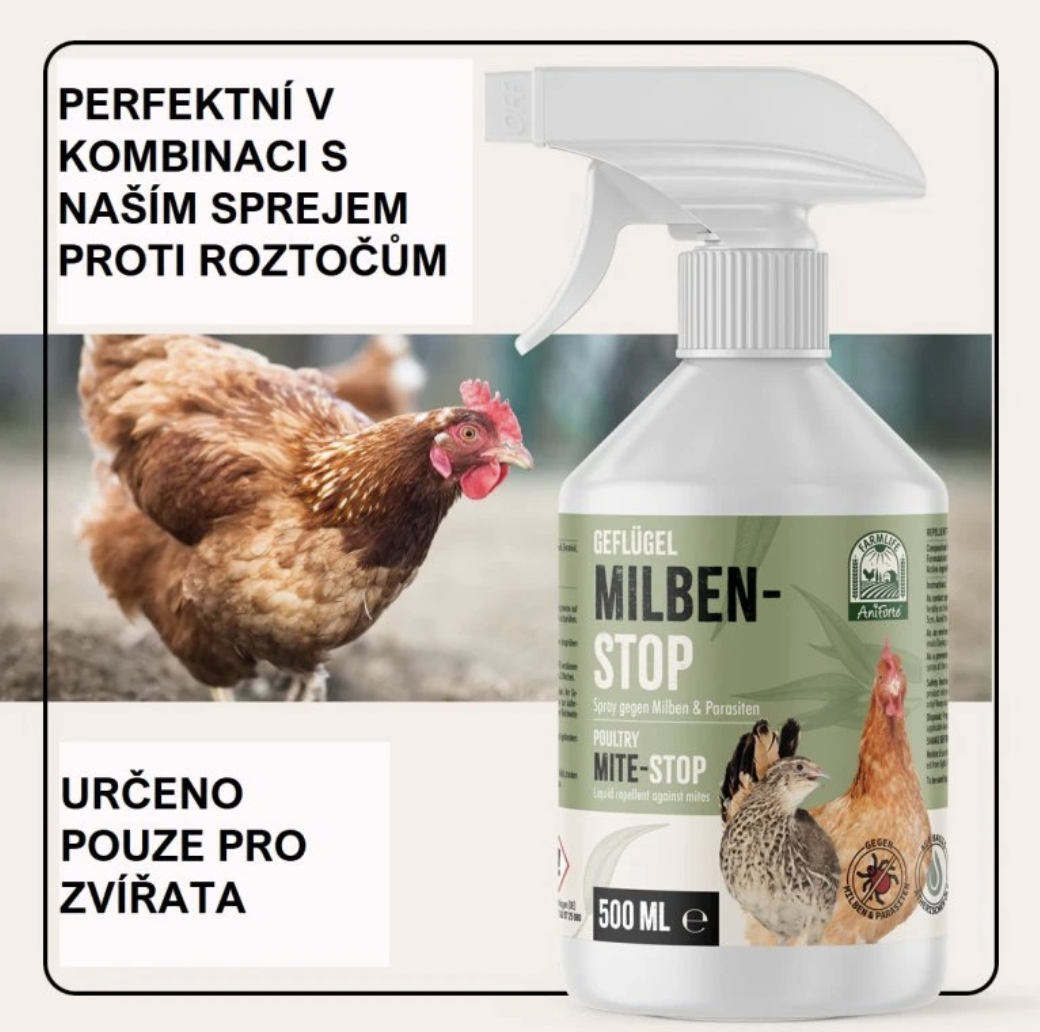 Screenshot 2026-02-04 at 16.49.30